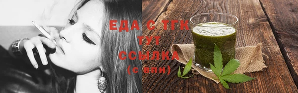 гидра Снежногорск