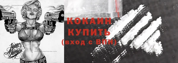 гидра Снежногорск